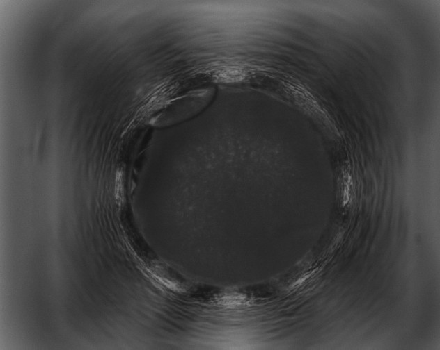 X0000052650598200507160225