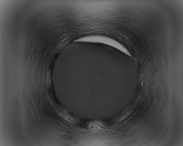 X0000052650599200507160225