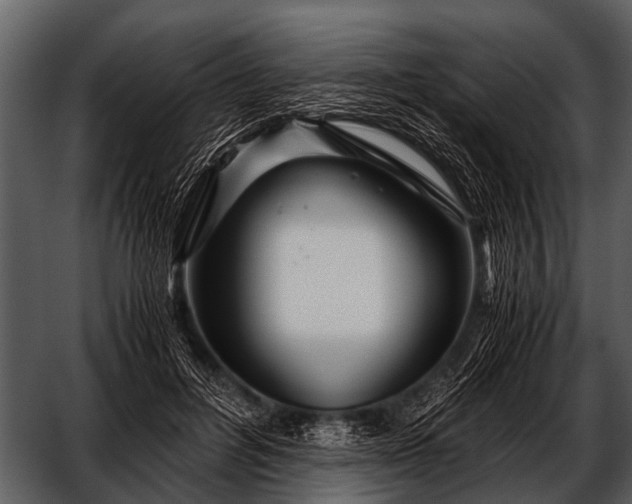 X0000052650600200507160225