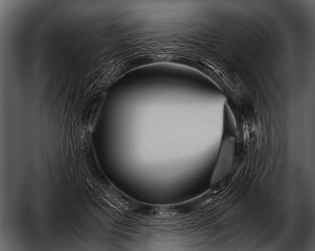 X0000052650601200507160225