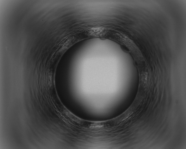 X0000052650602200507160225