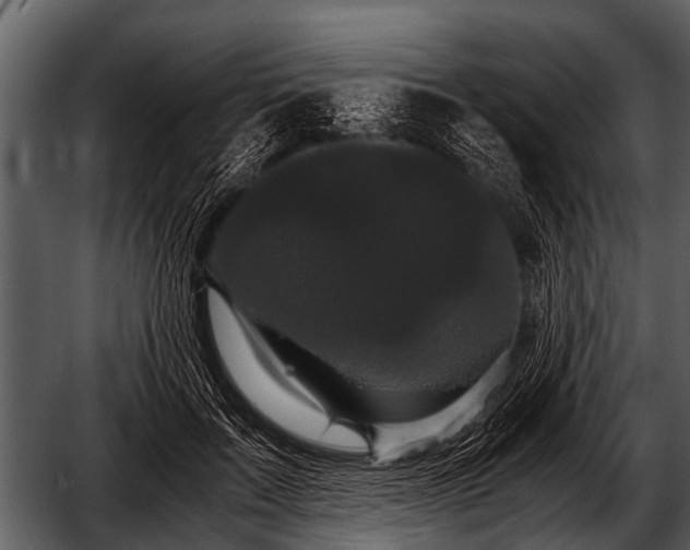 X0000052650603200507160225