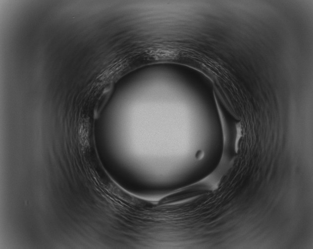 X0000052650604200507160225