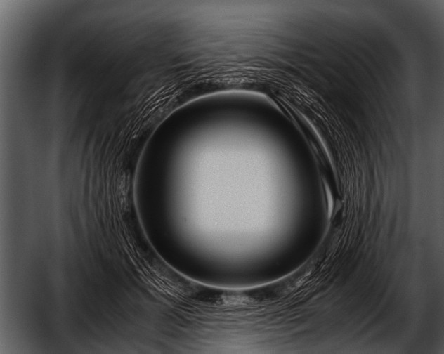 X0000052650605200507160225