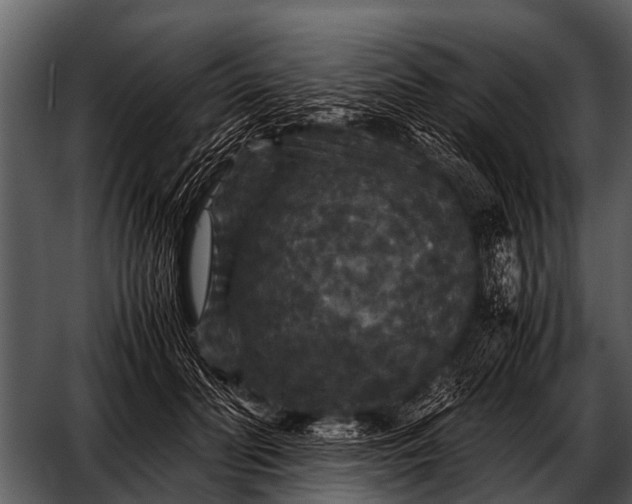 X0000052650606200507160225