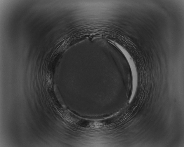 X0000052650607200507160225