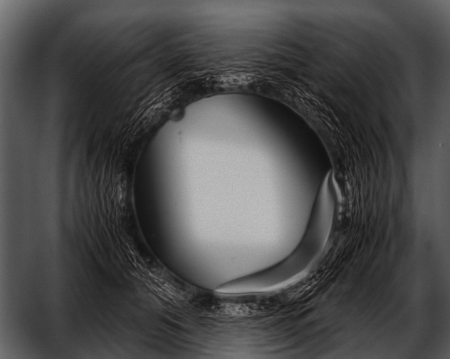 X0000052650608200507160225