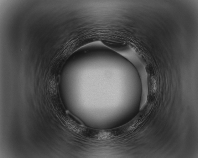 X0000052650609200507160225