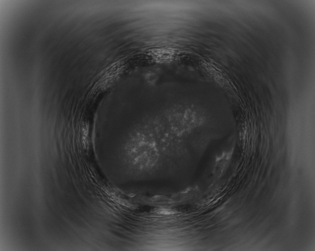 X0000052650610200507160225