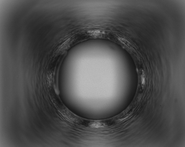 X0000052650611200507160225