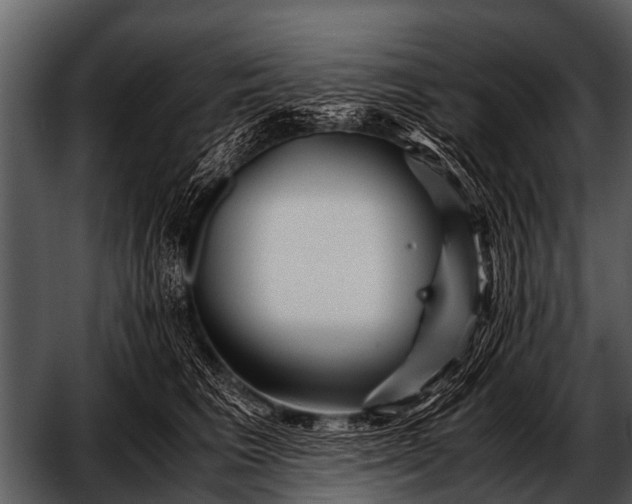 X0000052650613200507160225