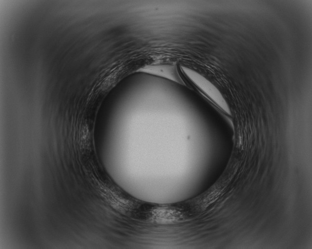 X0000052650614200507160225