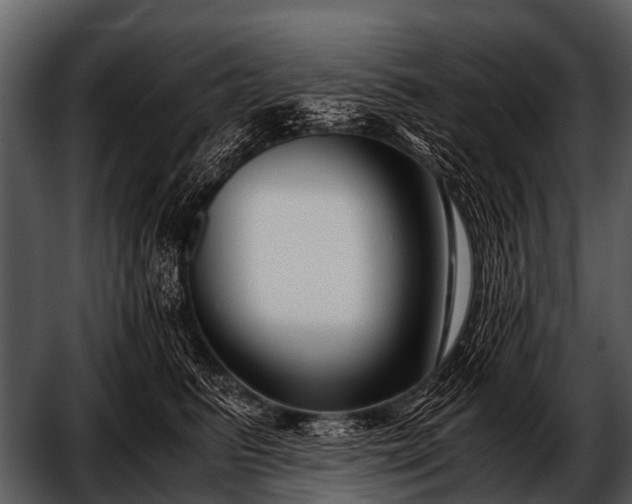 X0000052650615200507160225