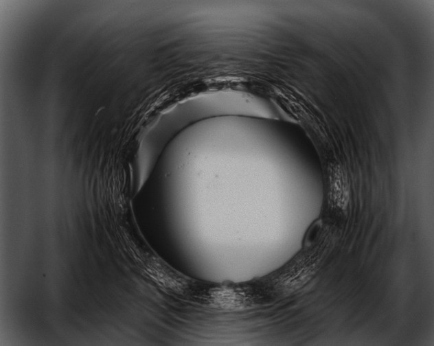 X0000052650616200507160225