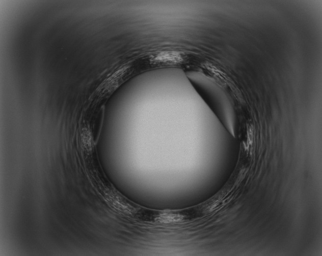 X0000052650617200507160225