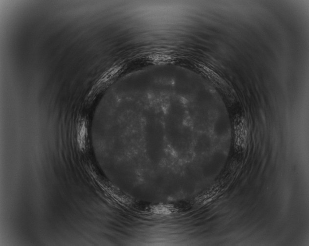 X0000052650618200507160225