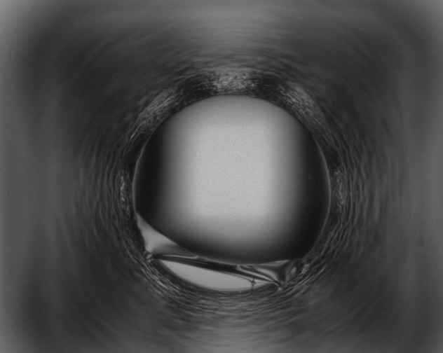 X0000052650619200507160225