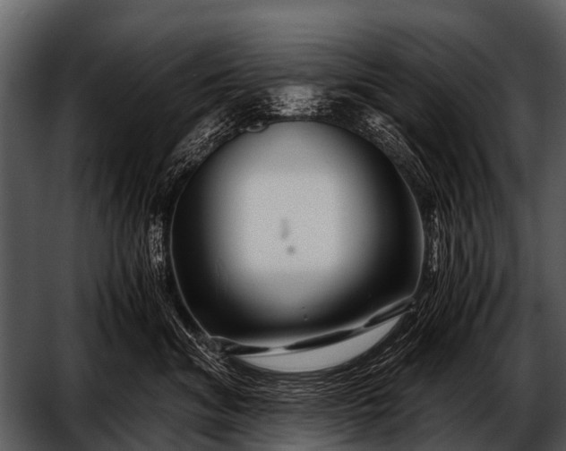 X0000052650620200507160225