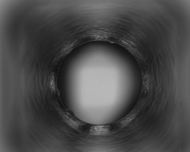 X0000052650622200507160225