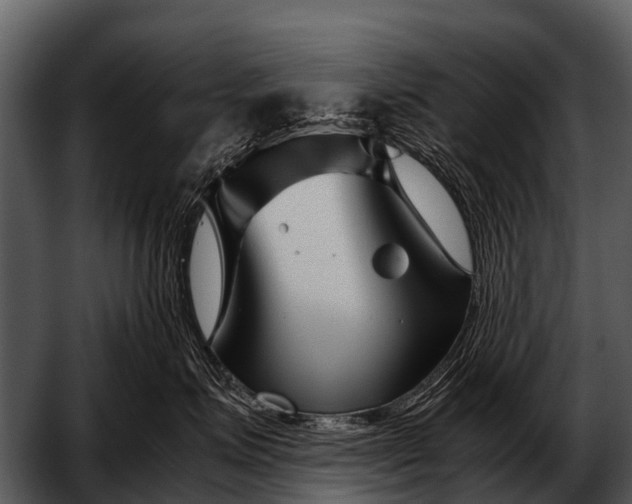 X0000052650623200507160225