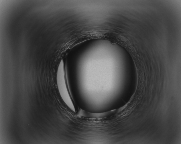 X0000052650624200507160225