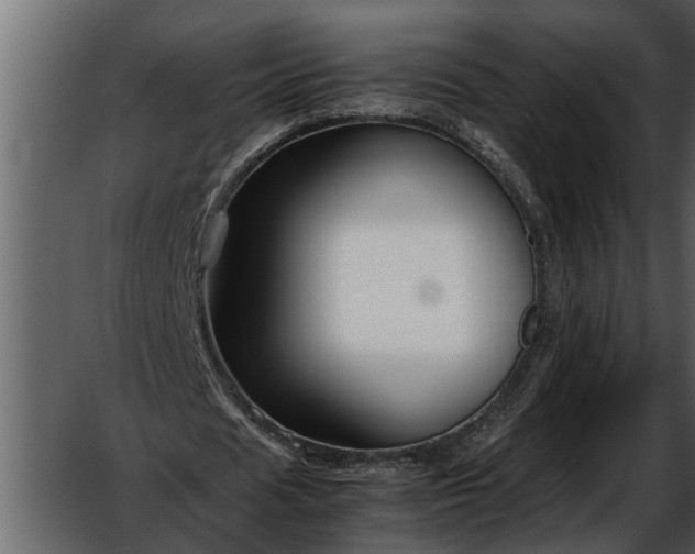 X0000052650625200507160224