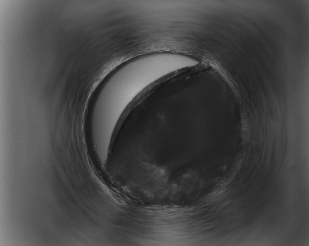 X0000052650626200507160224