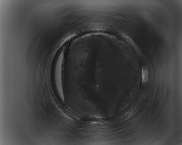 X0000052650627200507160224