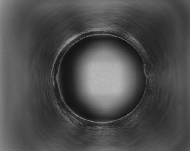 X0000052650628200507160224