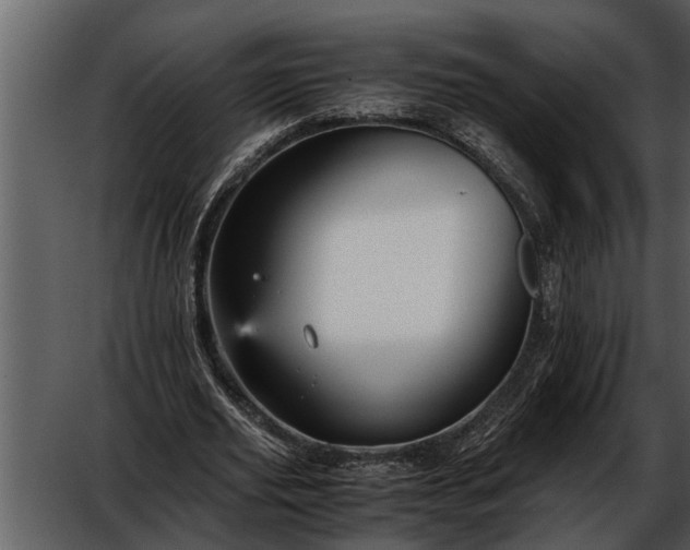 X0000052650629200507160224