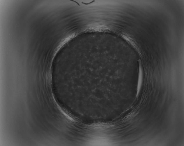 X0000052650630200507160224