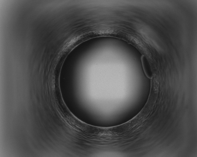 X0000052650631200507160224