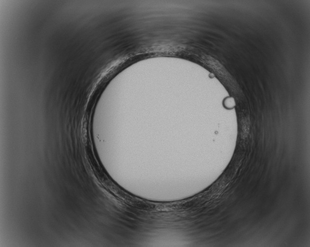 X0000052650632200507160224