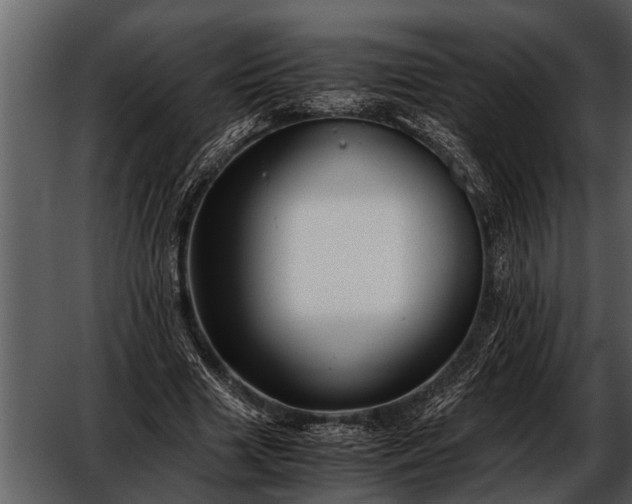 X0000052650633200507160224