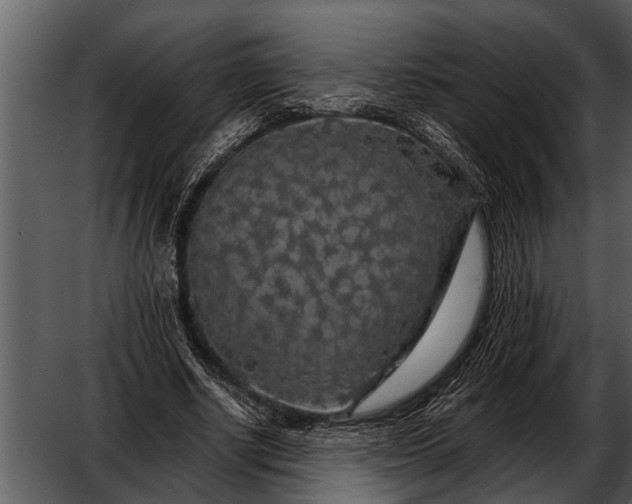 X0000052650634200507160224