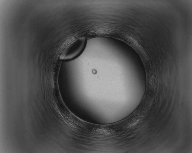 X0000052650635200507160224