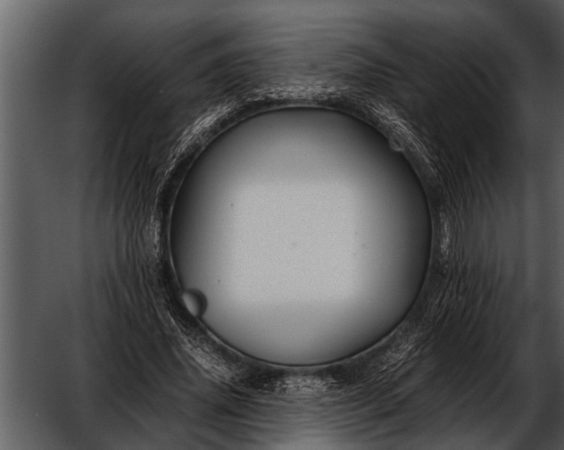 X0000052650636200507160224