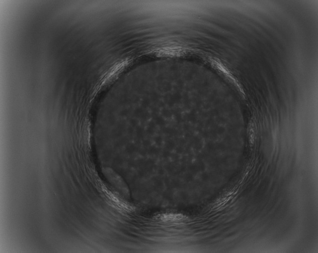 X0000052650637200507160224