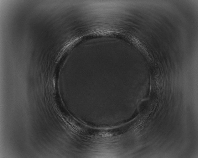 X0000052650640200507160224