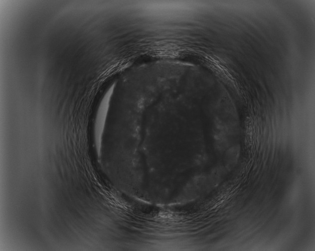 X0000052650641200507160224