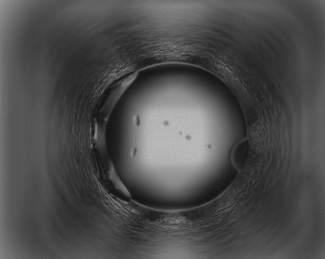 X0000052650642200507160224