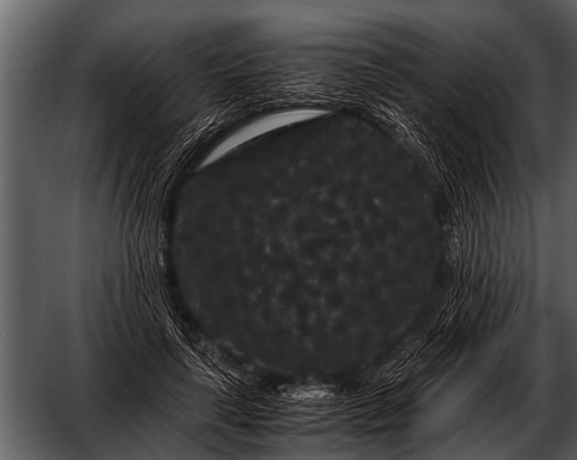 X0000052650643200507160224