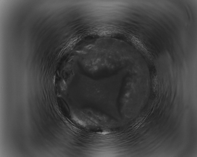 X0000052650644200507160224