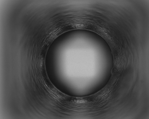 X0000052650645200507160224