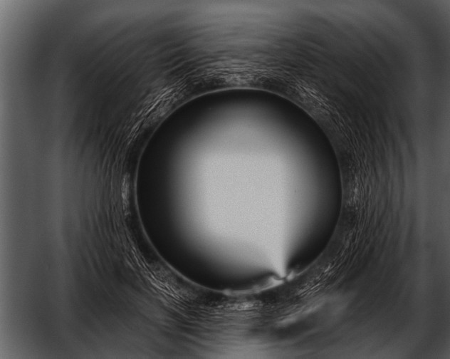 X0000052650646200507160224