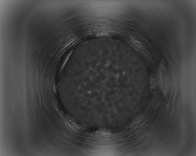 X0000052650648200507160224