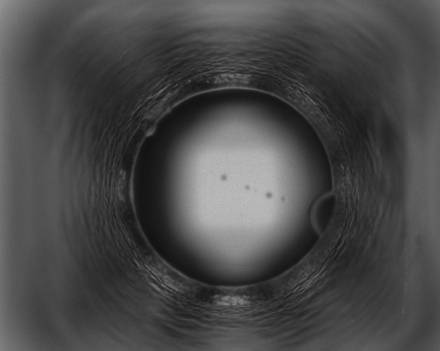 X0000052650649200507160224