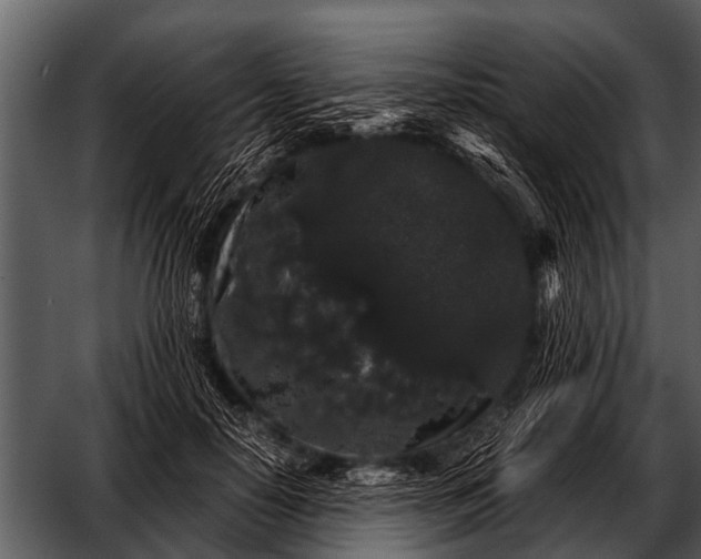 X0000052650650200507160224