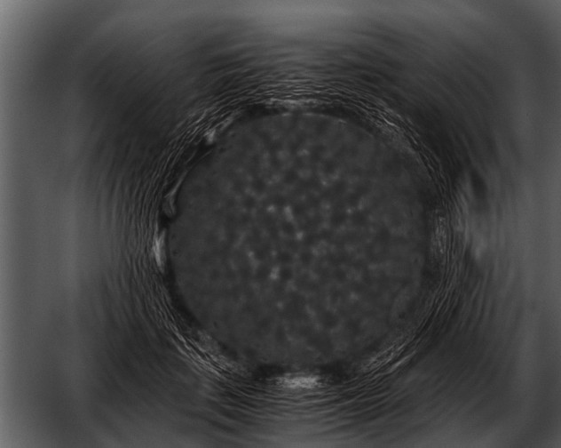 X0000052650651200507160224