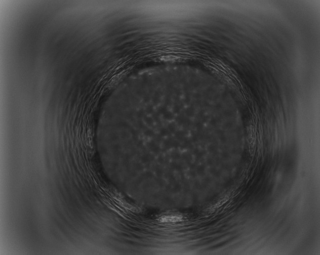 X0000052650653200507160224